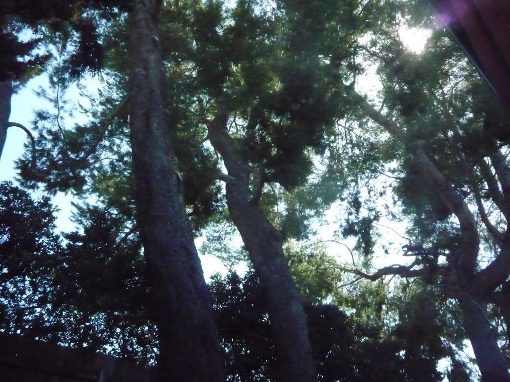 Woodland Hills Calabasas Guesthouses Los Angeles Exteriör bild