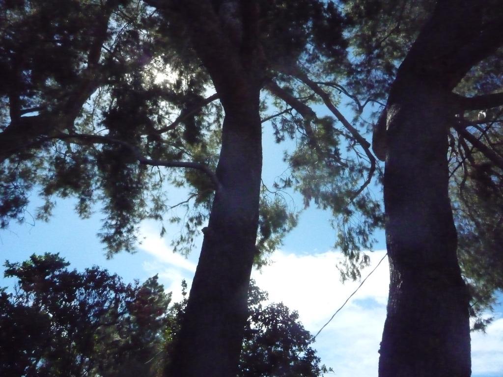 Woodland Hills Calabasas Guesthouses Los Angeles Exteriör bild